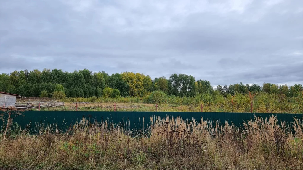 Продажа участка, Барышево, Выборгский район - Фото 3