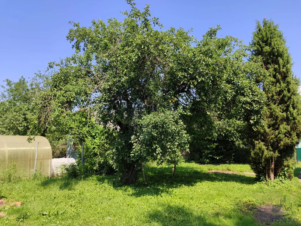 Продажа дома, Белозериха, Раменский район, Текстильщик-2 снт. - Фото 16