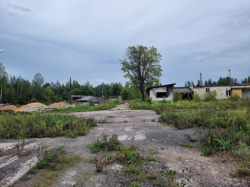 Продажа участка, Лесколово, Всеволожский район - Фото 4