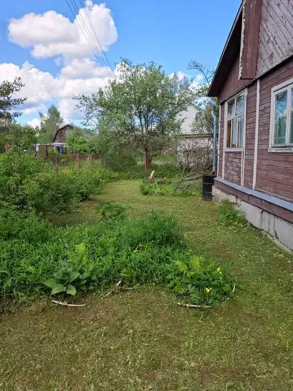 Дача Клин снт Березино - Фото 10