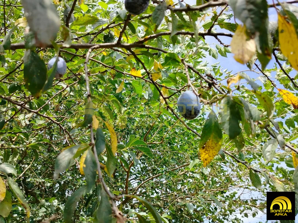 Продажа участка, Старотитаровская, Темрюкский район, Школьный пер. - Фото 9