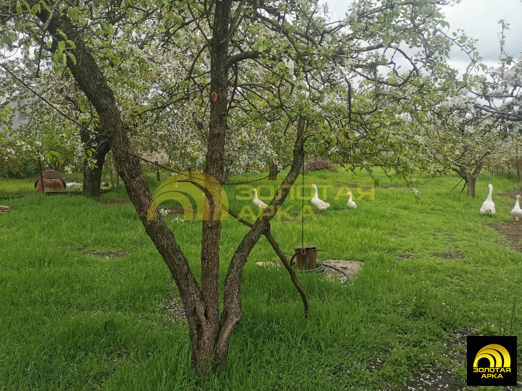 Продажа дома, Варениковская, Крымский район - Фото 5