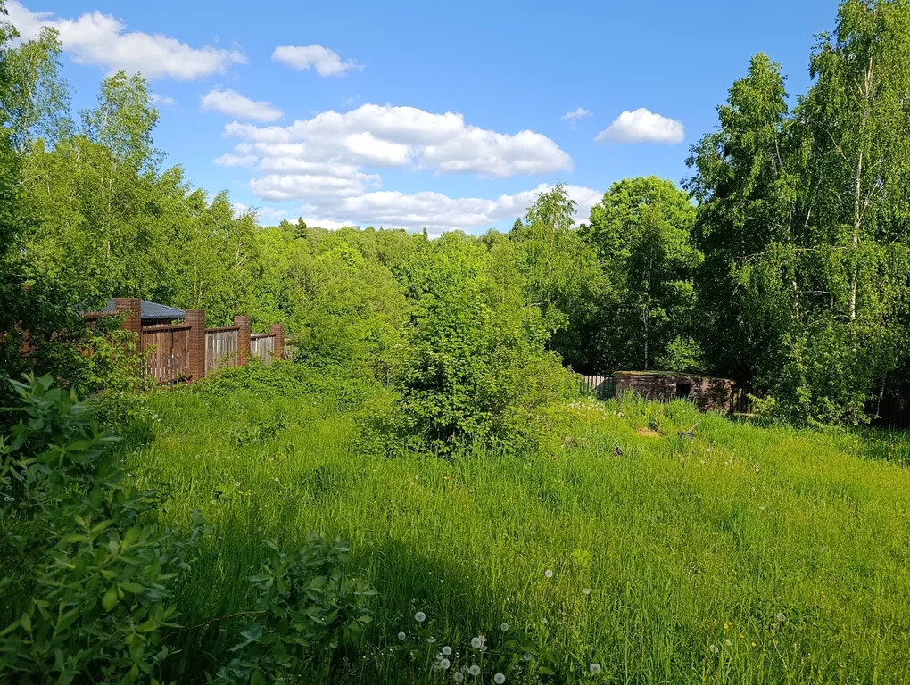 Продажа участка, Павловское, Домодедово г. о., Зернистая улица - Фото 6