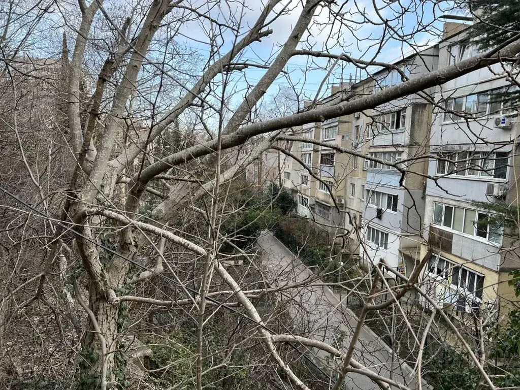 Продажа участка 20.0 сот. ул. Кривошты, Ялта, Крым респ. - база ЦИАН, ... - Фото 8