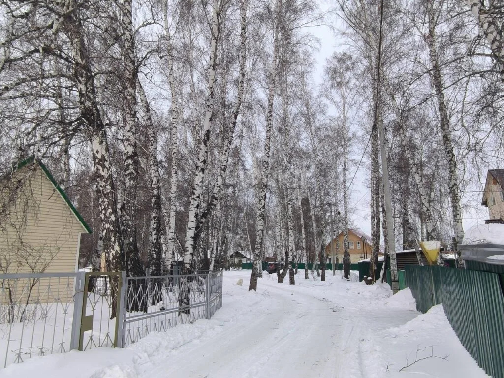 Продажа дома, Новосибирск, ул. Березовая - Фото 20