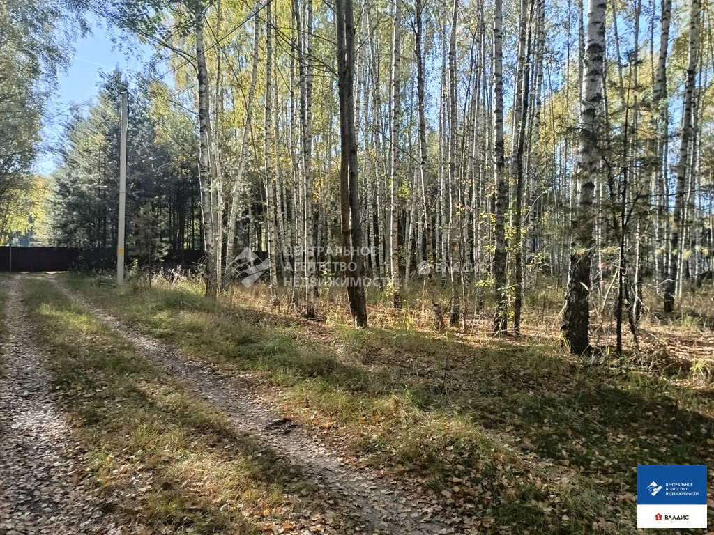 Продажа участка, Спасский район - Фото 7