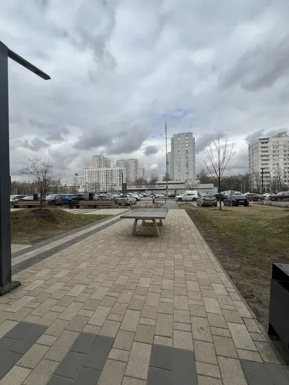 Евротрешка, Ясеневая, 12к1 - Фото 3