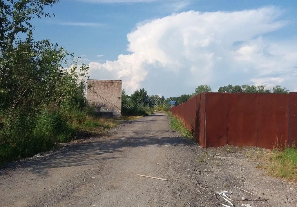 Череповец ул городского питомника. Ул городского питомника 1 череповец. улица городского питомника 5 череповец. улица городского питомника 36.