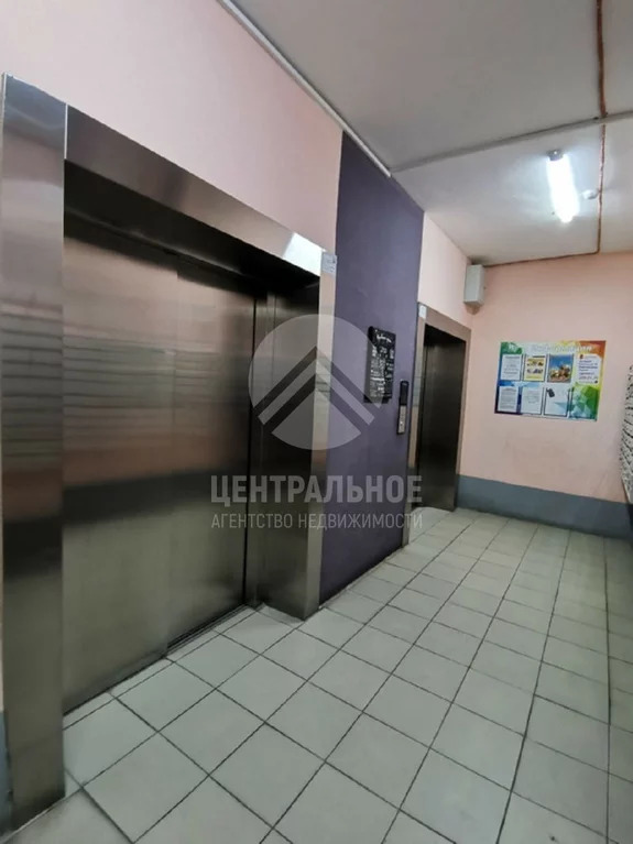 квартиры в новосибирске ленинский район ул волховская. Смотреть фото квартиры в новосибирске ленинский район ул волховская. Смотреть картинку квартиры в новосибирске ленинский район ул волховская. Картинка про квартиры в новосибирске ленинский район ул волховская. Фото квартиры в новосибирске ленинский район ул волховская квартиры в новосибирске ленинский район ул волховская. Смотреть фото квартиры в новосибирске ленинский район ул волховская. Смотреть картинку квартиры в новосибирске ленинский район ул волховская. Картинка про квартиры в новосибирске ленинский район ул волховская. Фото квартиры в новосибирске ленинский район ул волховская