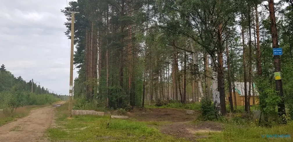 Продажа ЗУ в СНТ Сосновый бор, Куйвозовское СП, ж/д ст. 47 км - Фото 16