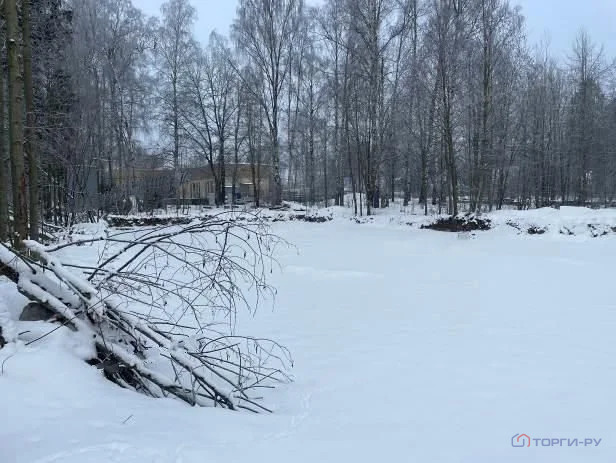 Продажа участка, Зеленогорск, ул. Вокзальная - Фото 8