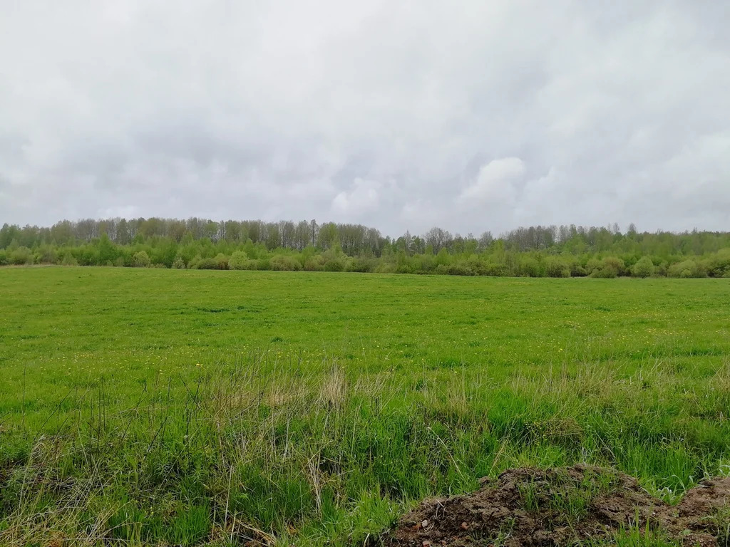 Продажа участка, Выборгский район - Фото 16