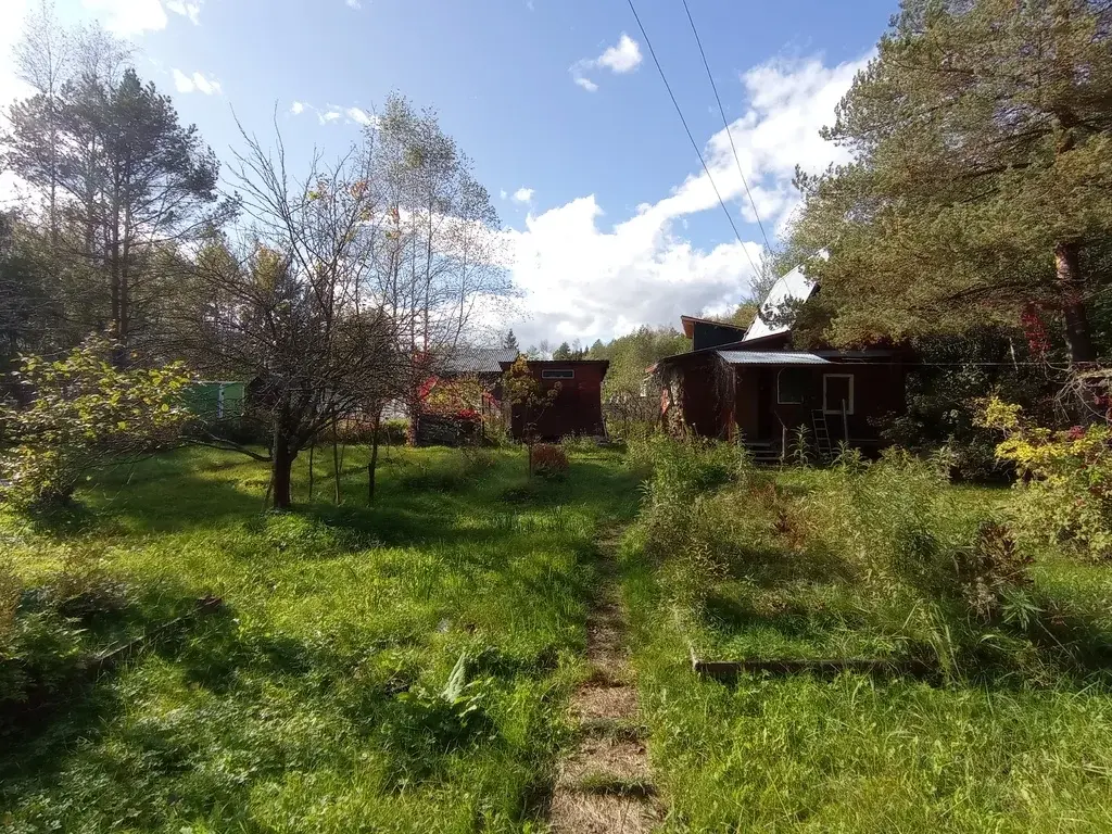 Дом 28 м2 на участке 6 сот. - Фото 13