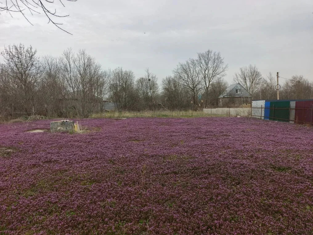 Продажа участка, Афипский, Северский район - Фото 3