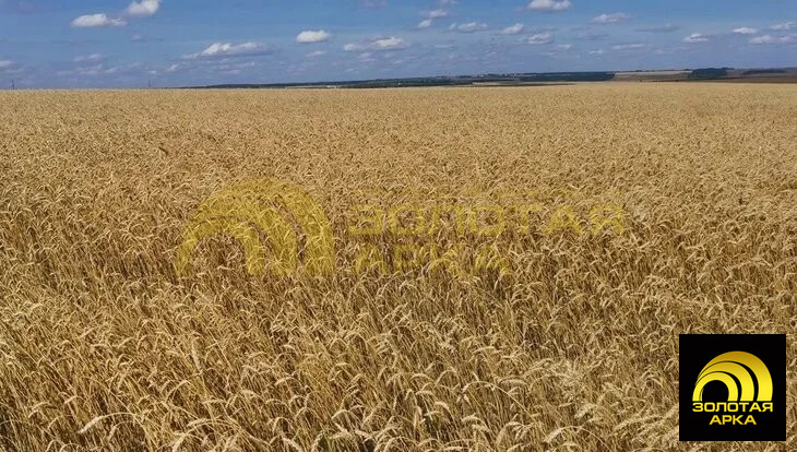 Продажа участка, Вышестеблиевская, Темрюкский район, ул. Ленина - Фото 5