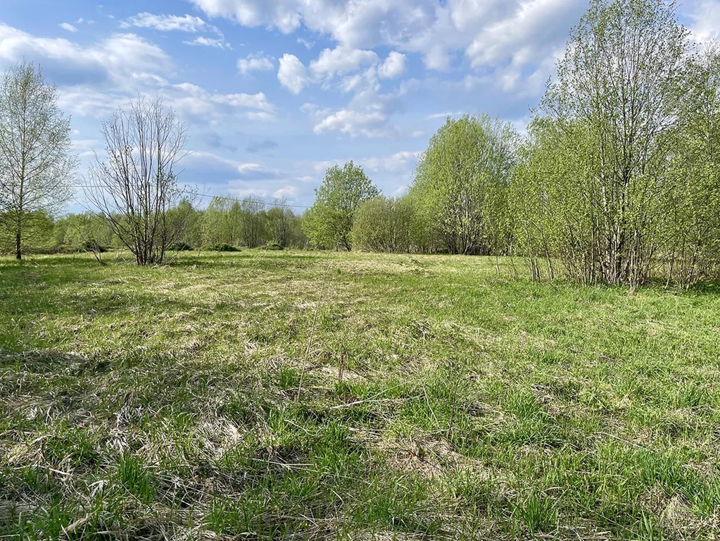 Продажа участка, Василево, Дмитровский район - Фото 0