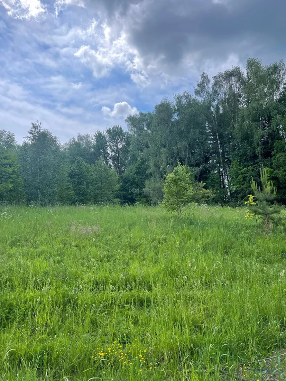 Продажа участка, Лаговское, Подольский район - Фото 1