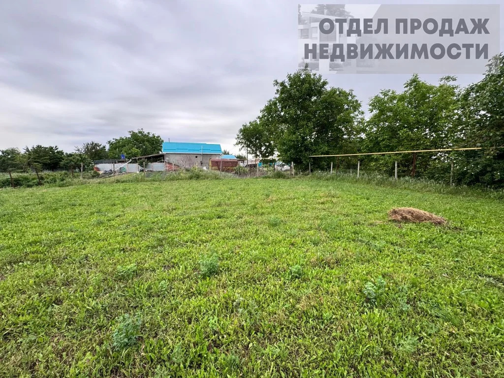 Участок - Фото 6