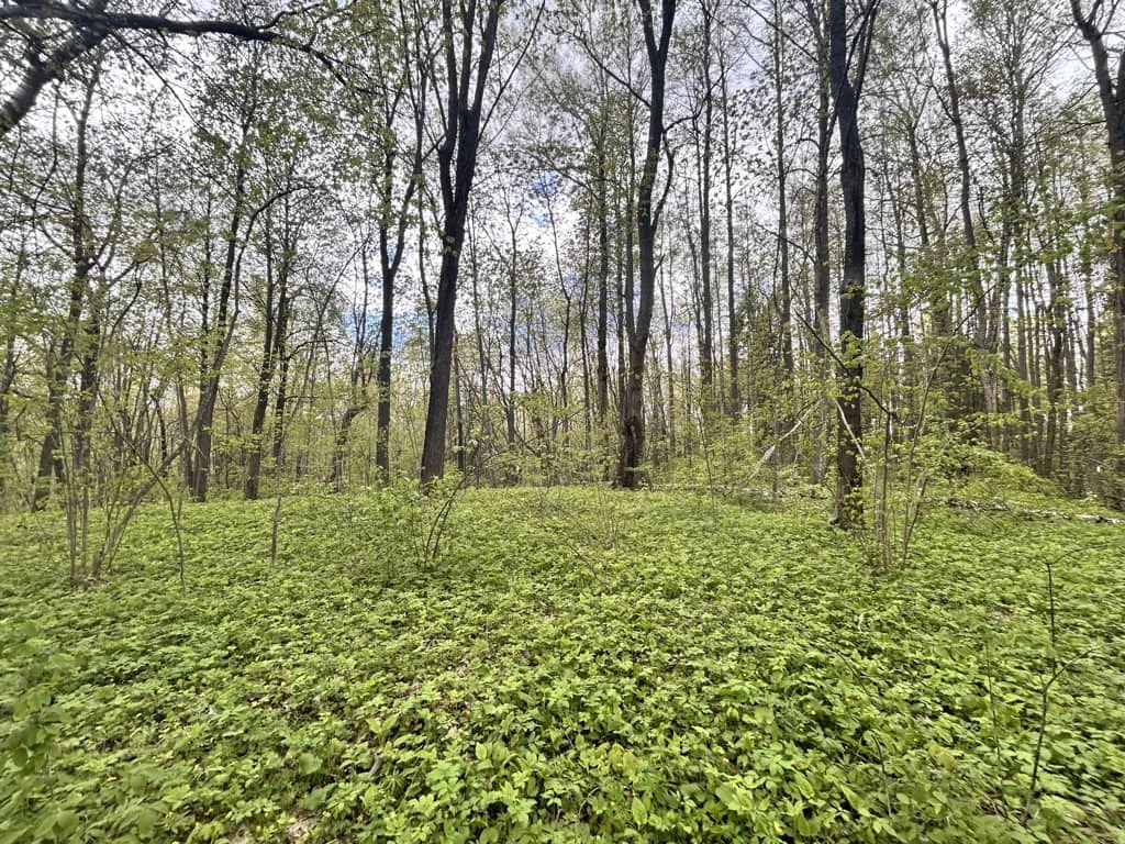 Продажа участка, Сокольники, Дмитровский район - Фото 6