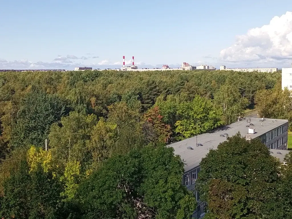 В продаже 2 к.кв с мебелью и техникой рядом с сосновым лесопарком - Фото 14