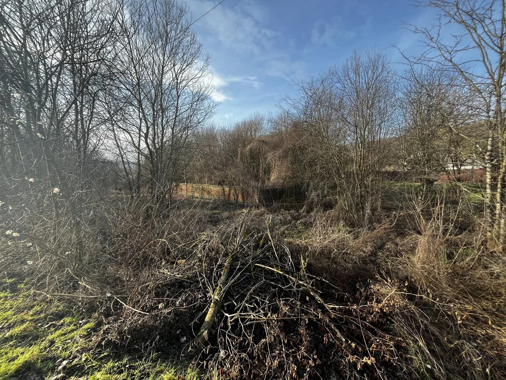 Продажа участка, Крепостная, Северский район, ул. Кирова - Фото 4