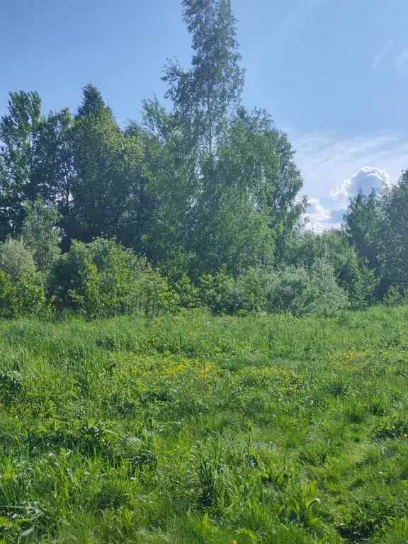 Продам 15 соток в Митяево МО - Фото 1