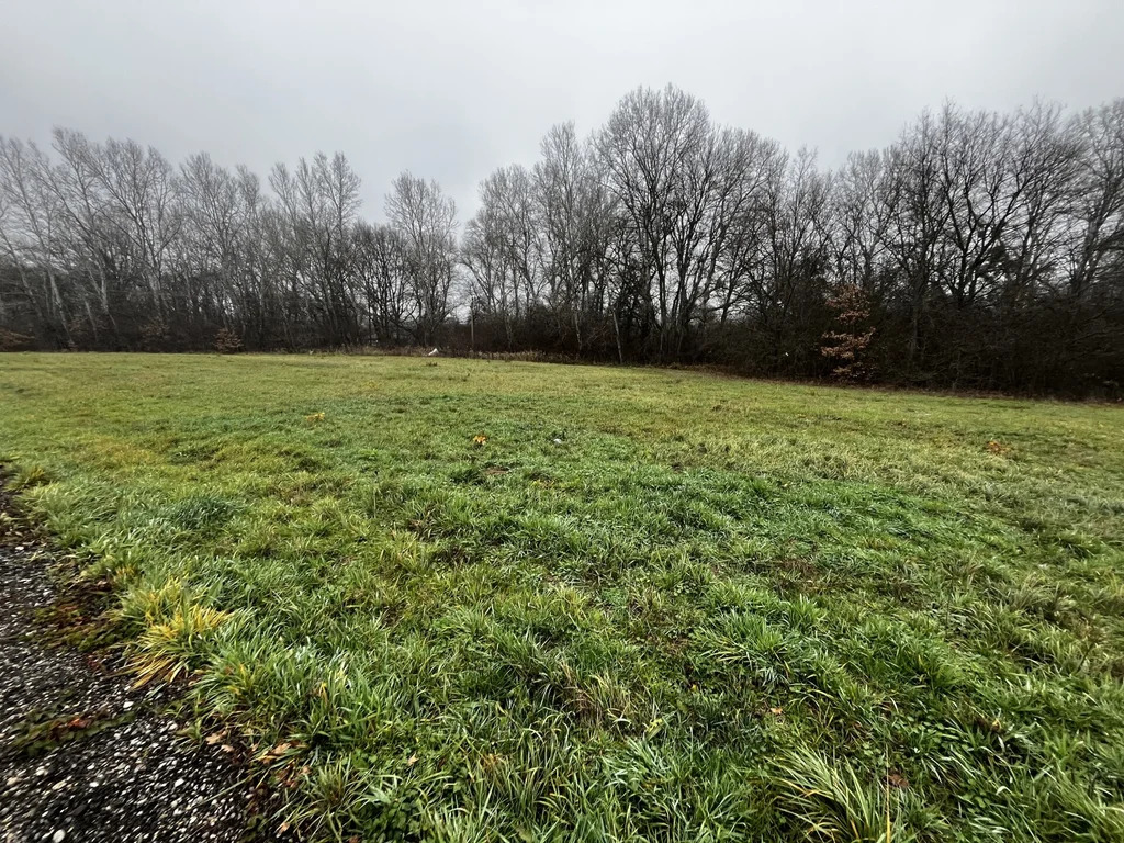 Продажа участка, Калужская, Северский район, улица Солнечная - Фото 3