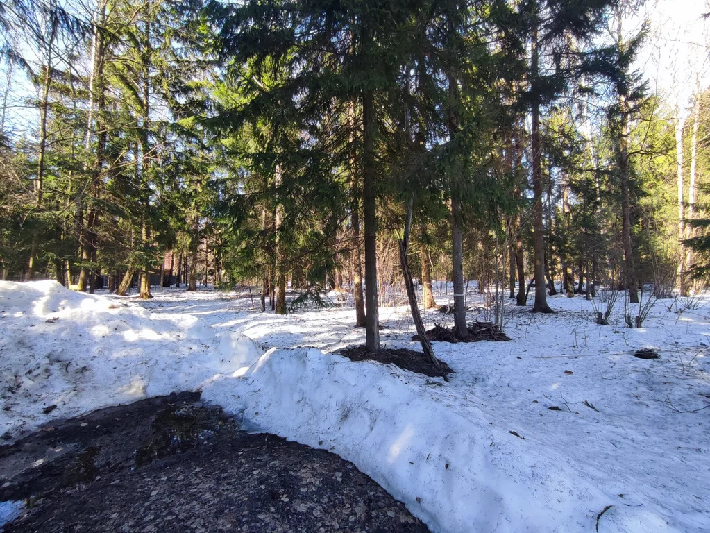 Продажа участка, НИИ Радио, Одинцовский район, Тыльная улица - Фото 7