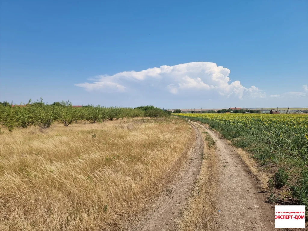 Продажа участка, Ломакин, Неклиновский район, ул. Новая - Фото 13