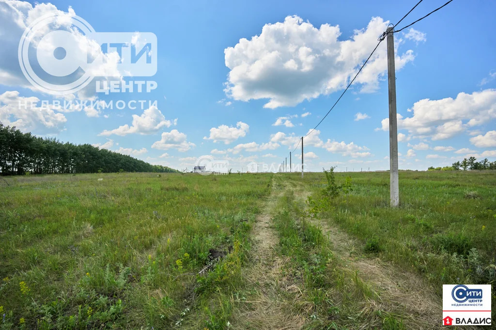 Продажа участка, Семилукский район - Фото 0