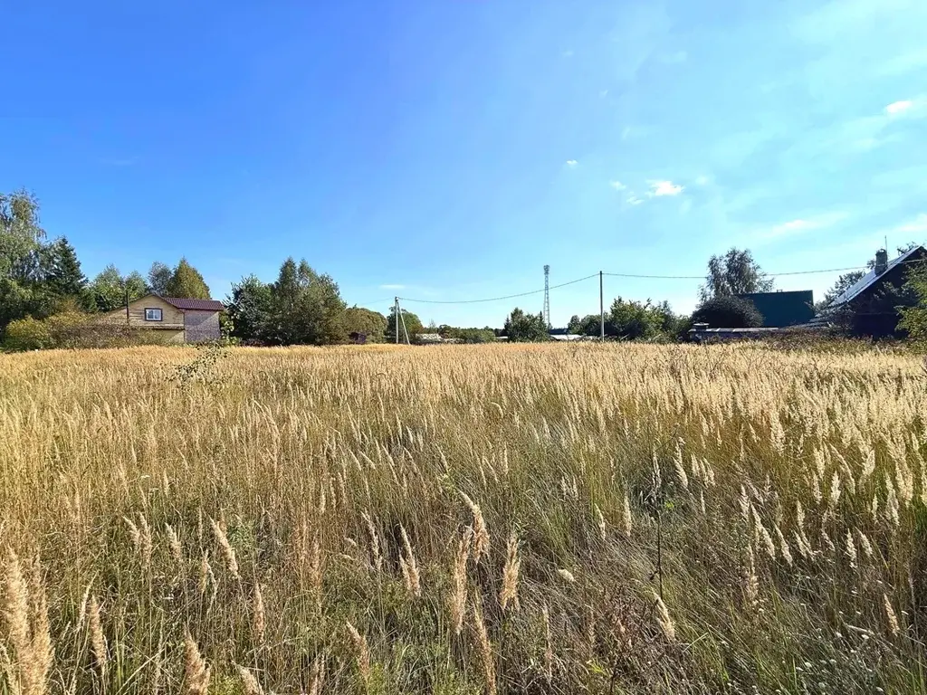 Участок в деревне Слободище - Фото 4