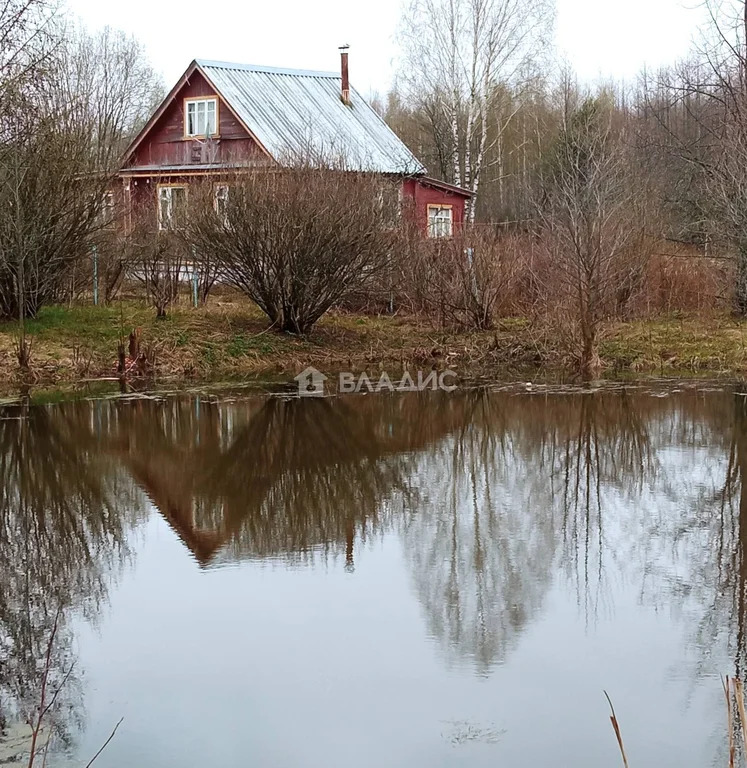 Камешковский район, деревня Ворынино,  дом на продажу - Фото 5