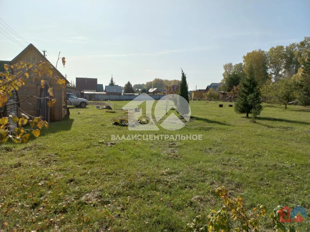 Новосибирский район, садовое товарищество Шафран,  земля на продажу - Фото 1