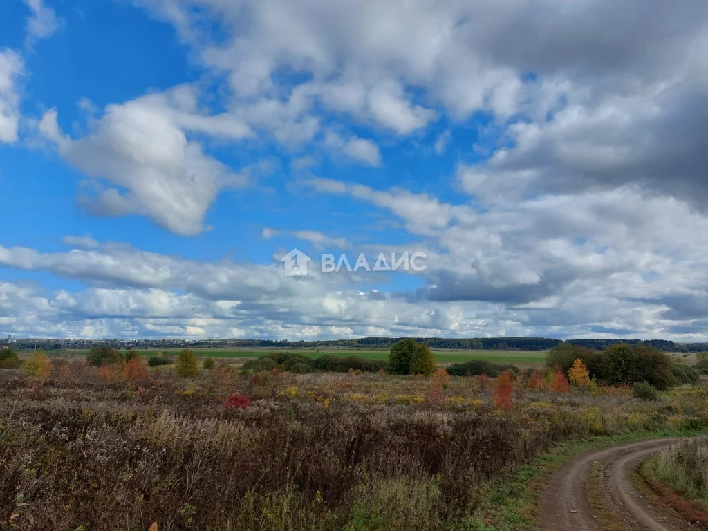 Суздальский район, село Новое, дом на продажу - Фото 17