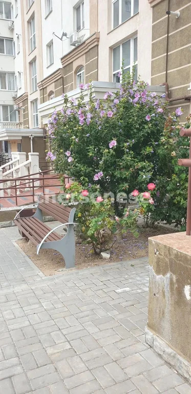 Аренда квартиры, Севастополь, Античный пр-кт. - Фото 10