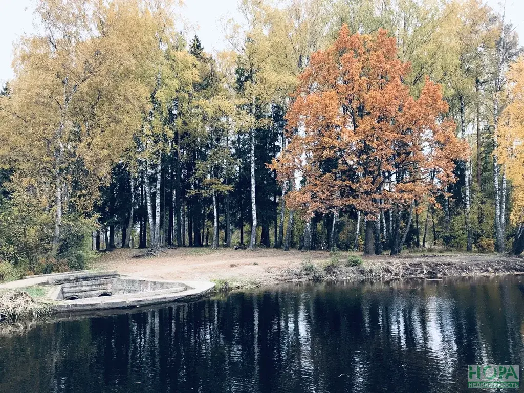 Поселок радищево солнечногорский район фото