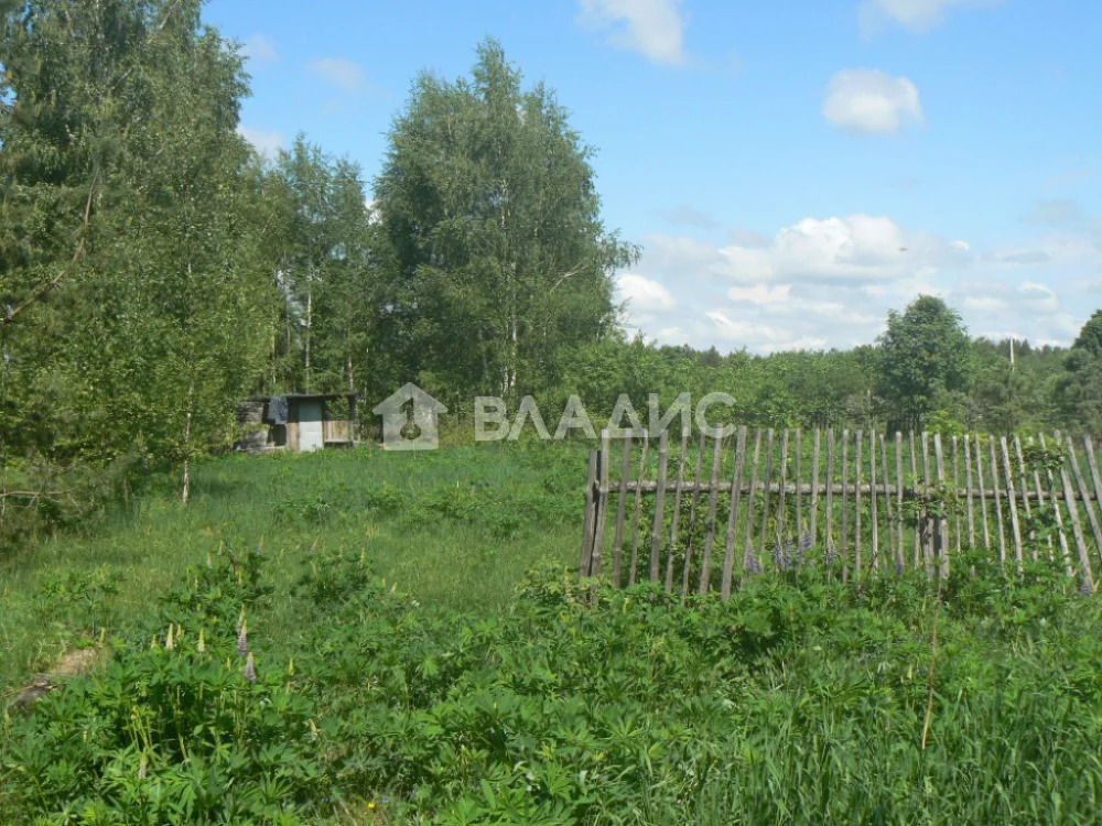 Судогодский район, деревня Неврюево, земля на продажу - Фото 2