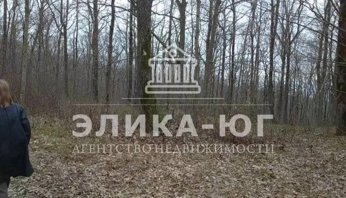 Продажа участка, Новомихайловский, Крымский район, Лесной-мкр. - Фото 2