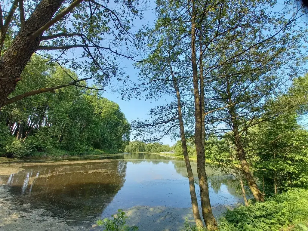 Продается живописный участок на берегу пруда д.Сохинки г.о.чехов МО - Фото 6