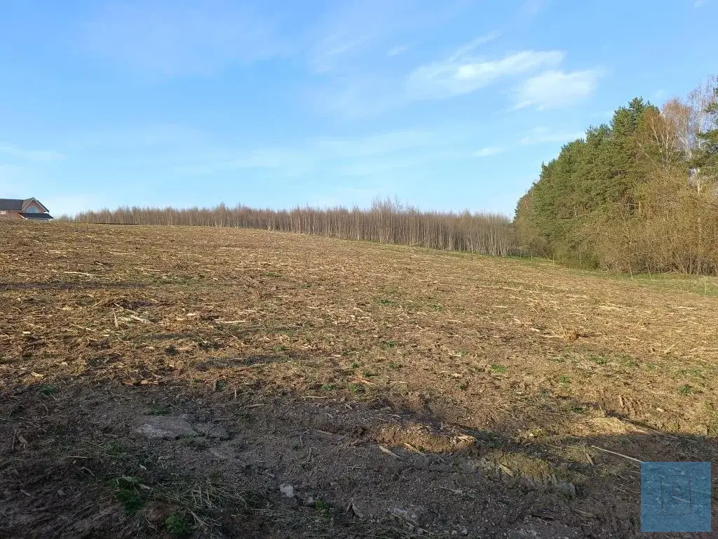 1,45 га рядом с Пятницким шоссе. - Фото 6