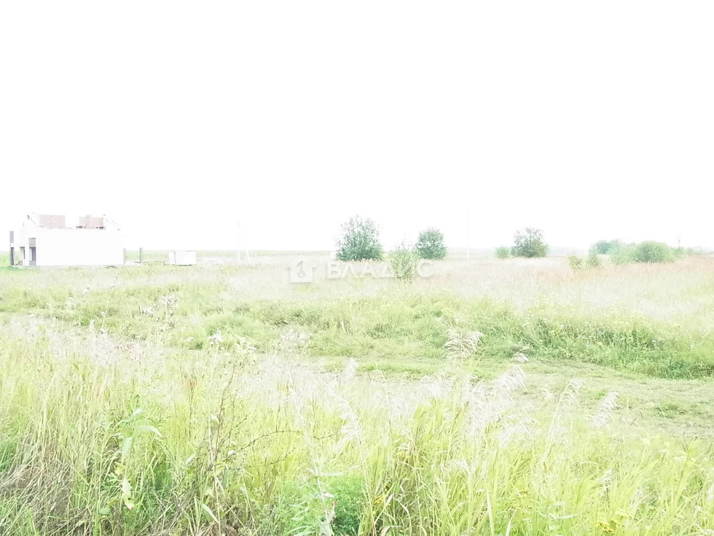 Собинский район, деревня Курилово, Озёрная улица,  земля на продажу - Фото 1