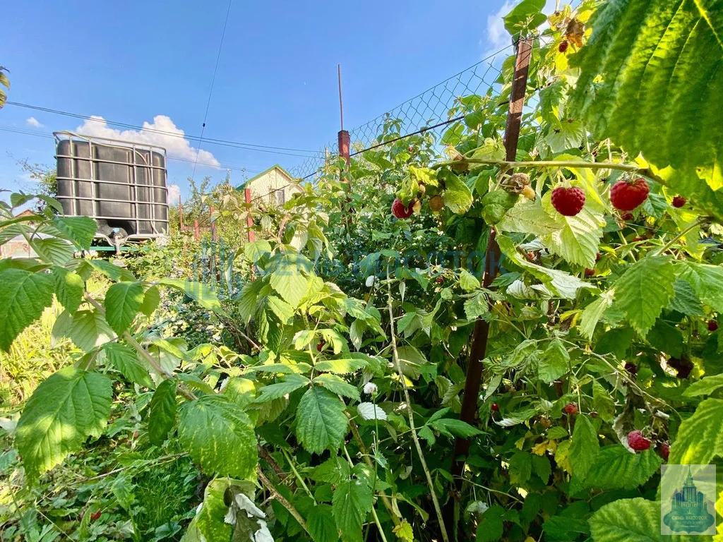 Продажа дома, Подольский район, 12 - Фото 5