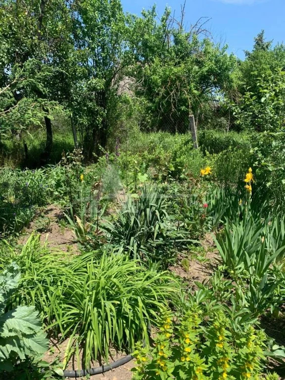 Продажа дома, Георгиевск, Горная ул. - Фото 11