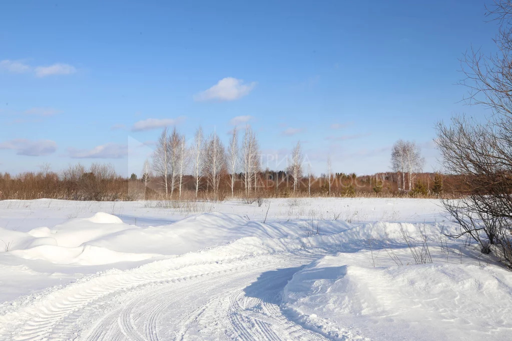 Продажа земельного участка, Тюменский район, Тюменский р-н - Фото 7