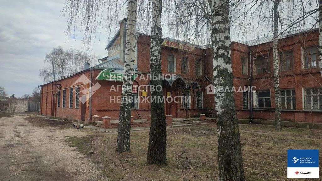 Продажа ПСН, Скопин, улица Карла Маркса - Фото 20