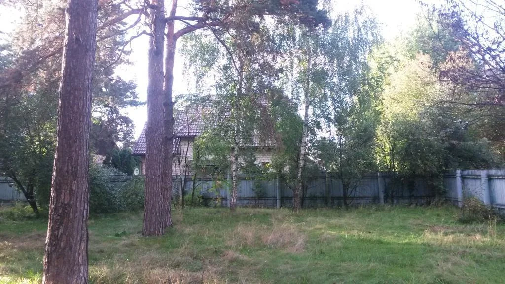 Участок с соснами на Рублевке в Барвихе с коммуникациями - Фото 1