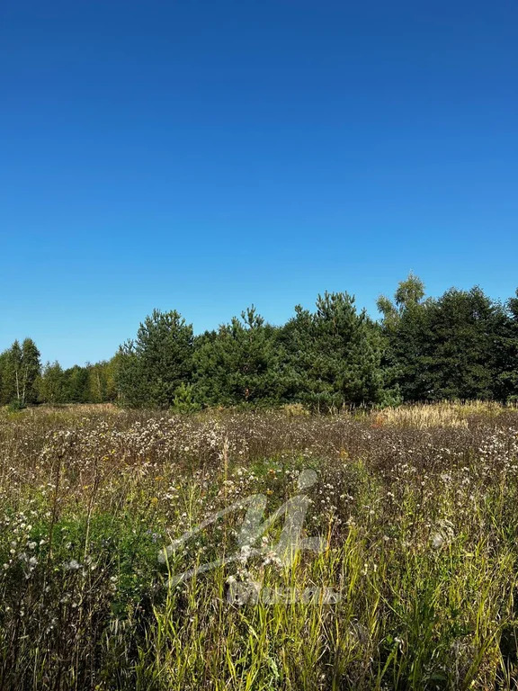 Продажа участка, Бисерово, Богородский г. о. - Фото 4