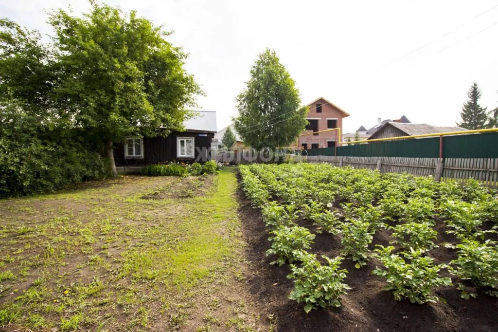 Продажа дома, Новосибирск, ул. Рябиновая - Фото 32