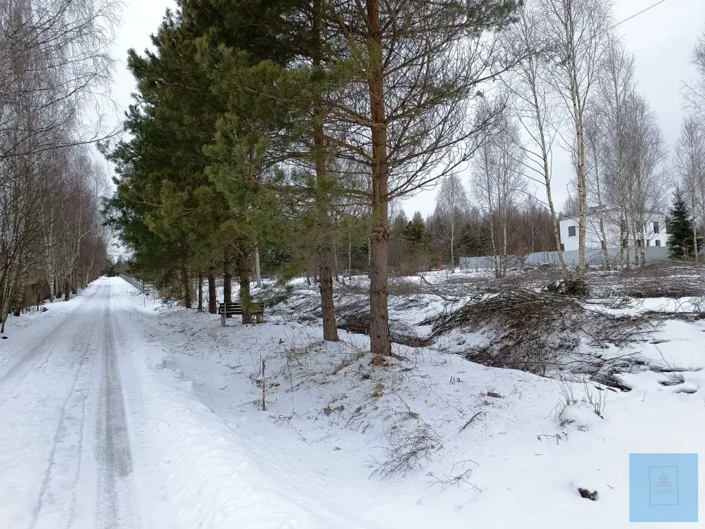 13,5 сотки под дачное строительство в д. Повадино - Фото 5