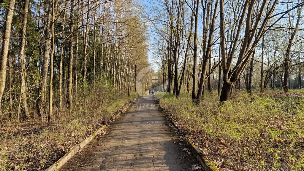 Продажа участка, Аксаково, Мытищинский район, Степная улица - Фото 19